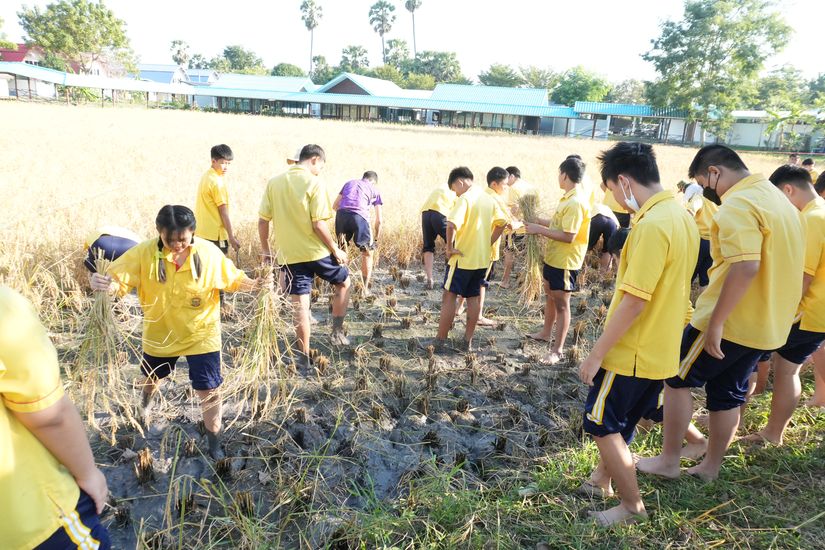 โรงเรียนปรีชานุศาสน์
