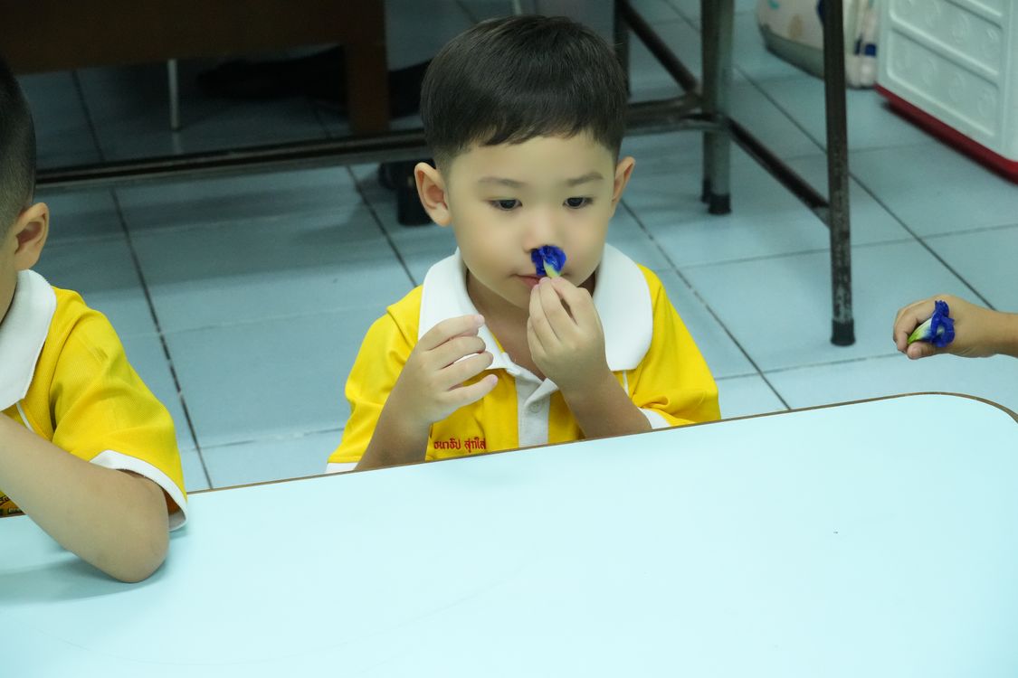 โรงเรียนปรีชานุศาสน์