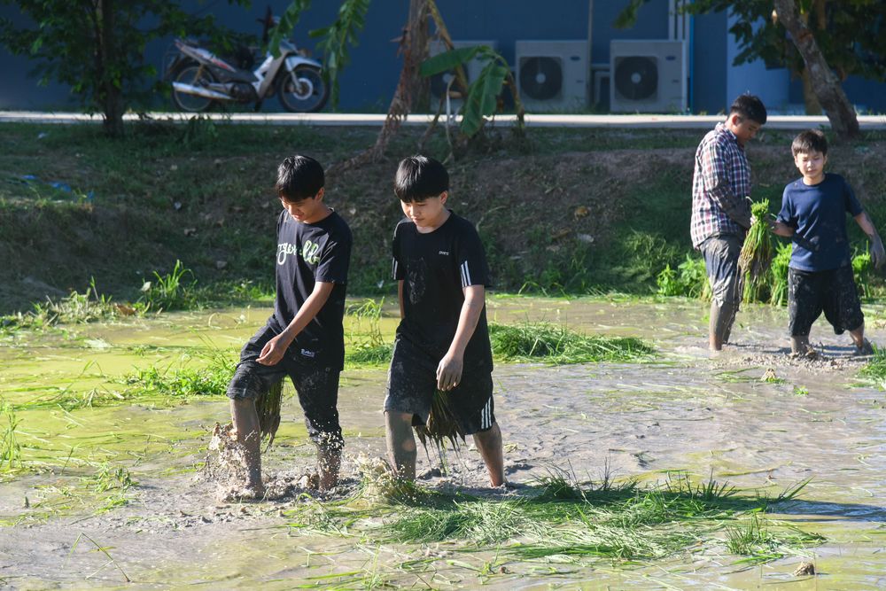 โรงเรียนปรีชานุศาสน์