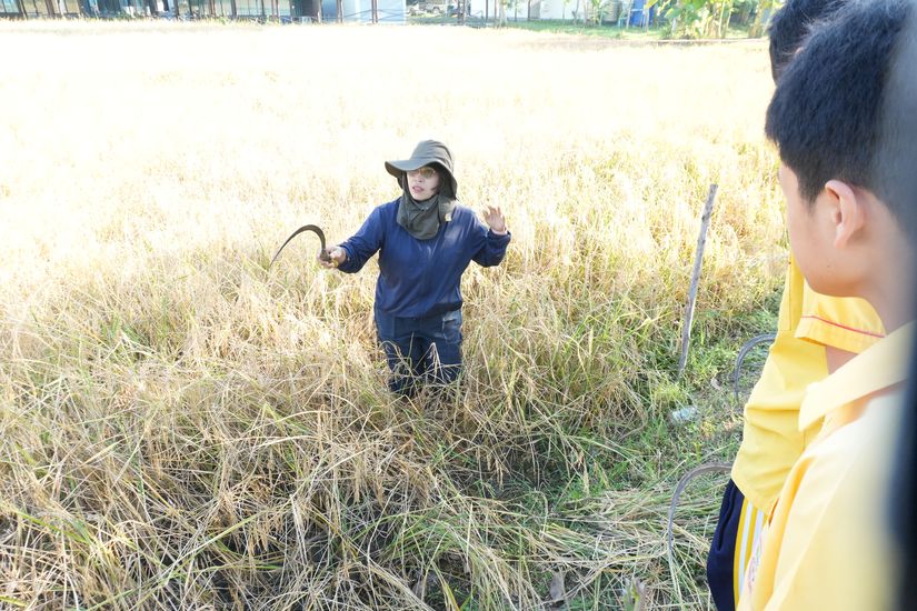 โรงเรียนปรีชานุศาสน์