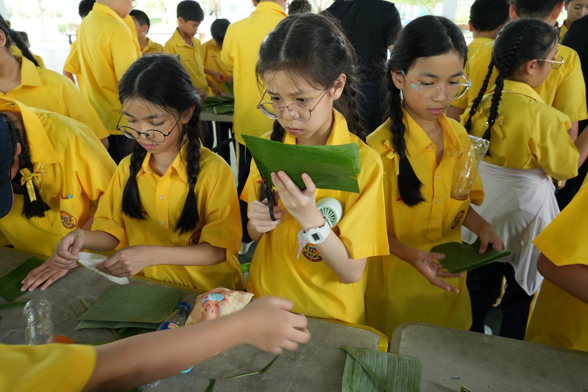 โรงเรียนปรีชานุศาสน์